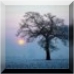 Mist, Mostly cloudy