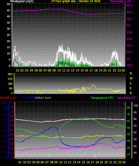 24 Hour Graph for Day 10