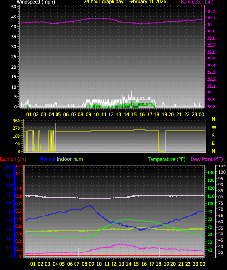 24 Hour Graph for Day 11