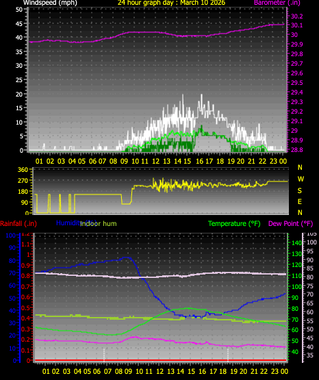 24 Hour Graph for Day 10