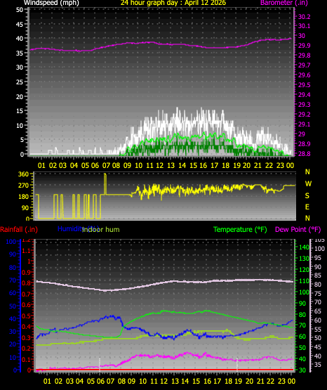 24 Hour Graph for Day 12