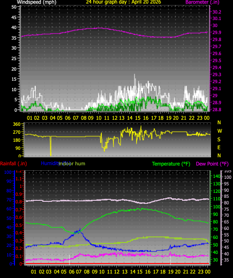 24 Hour Graph for Day 20